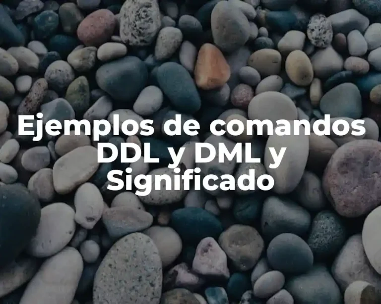 Ejemplos de comandos DDL y DML y Significado