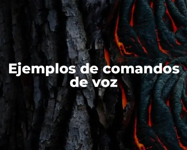 Ejemplos de comandos de voz