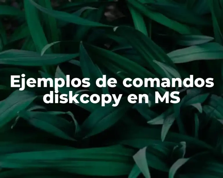 Ejemplos de comandos diskcopy en MS