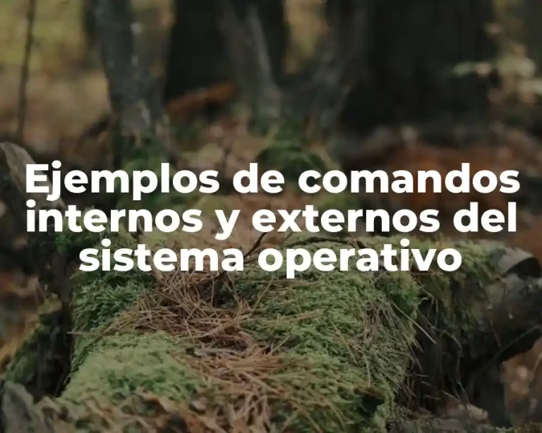 Ejemplos de comandos internos y externos del sistema operativo