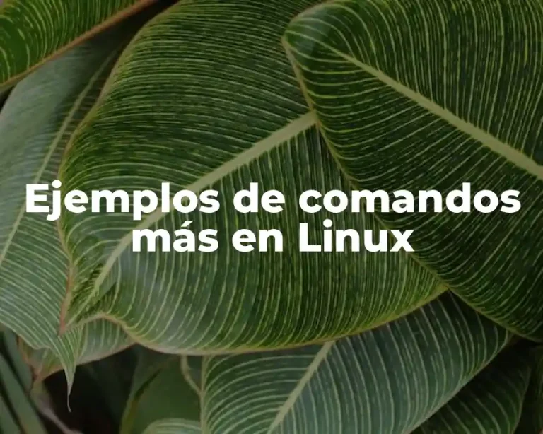 Ejemplos de comandos más en Linux