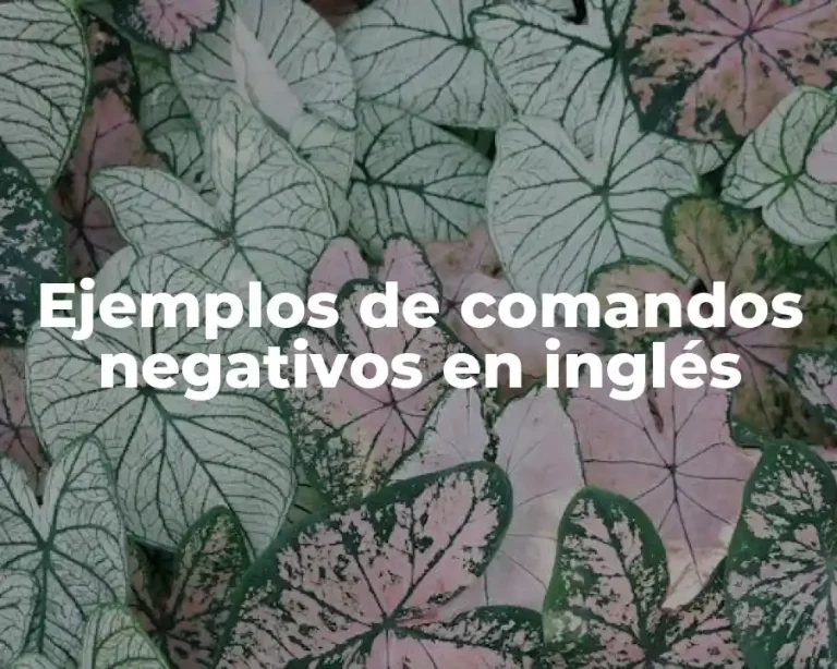 Ejemplos de comandos negativos en inglés
