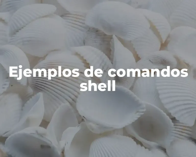 Ejemplos de comandos shell