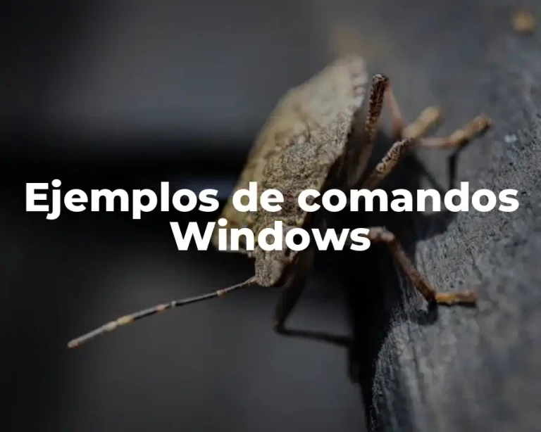 Ejemplos de comandos Windows