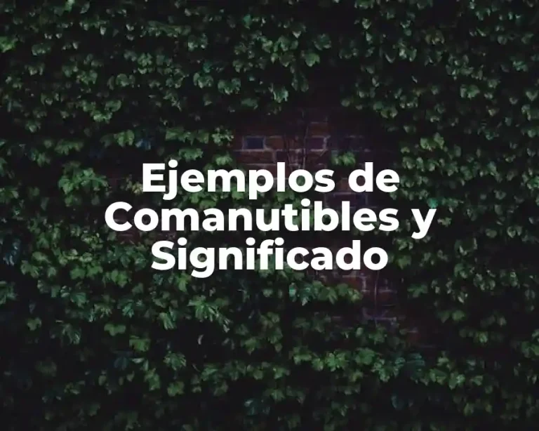 Ejemplos de Comanutibles y Significado