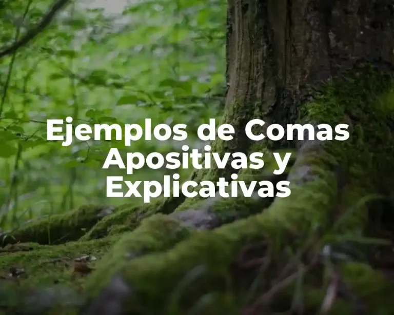 Ejemplos de Comas Apositivas y Explicativas