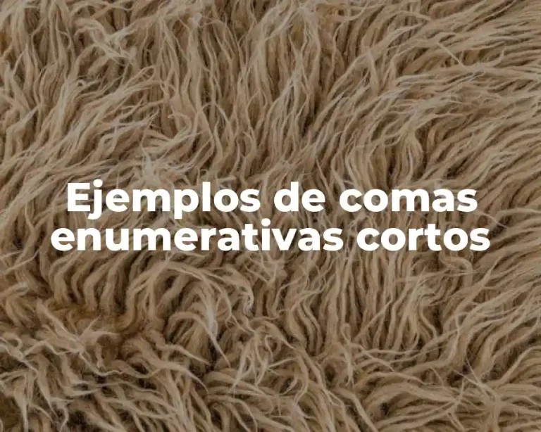 Ejemplos de comas enumerativas cortos