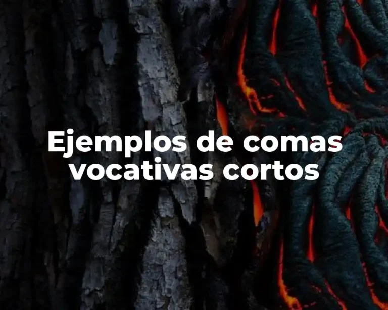 Ejemplos de comas vocativas cortos
