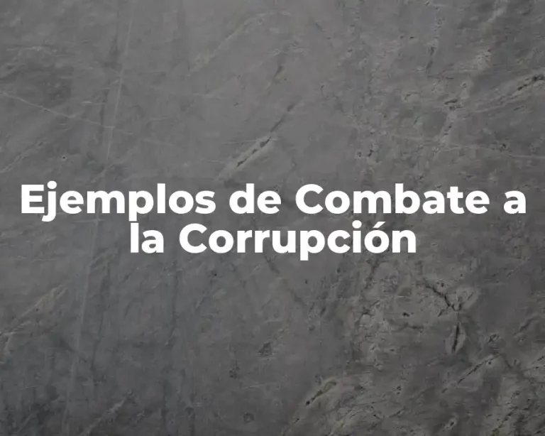 Ejemplos de Combate a la Corrupción