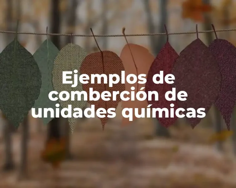 Ejemplos de comberción de unidades químicas