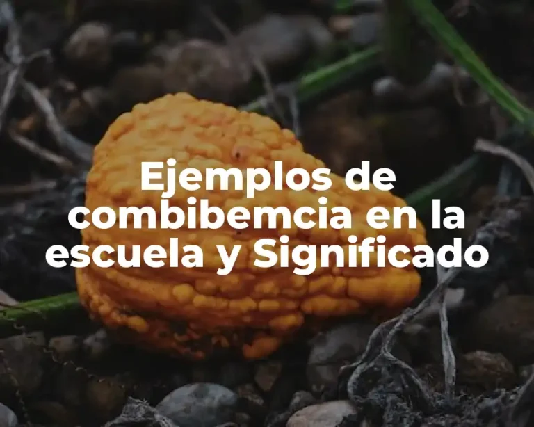 Ejemplos de combibemcia en la escuela y Significado