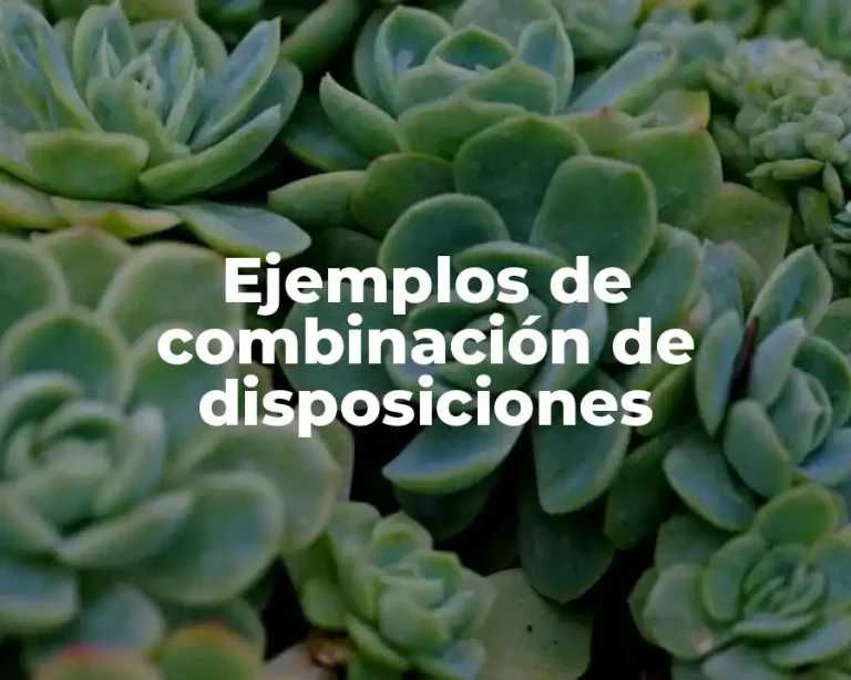 Ejemplos de combinación de disposiciones