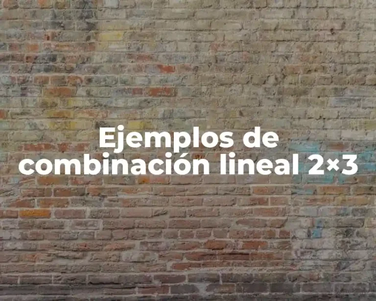 Ejemplos de combinación lineal 2×3