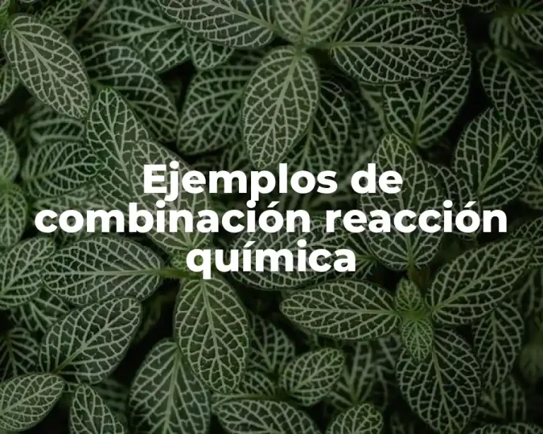 Ejemplos de combinación reacción química