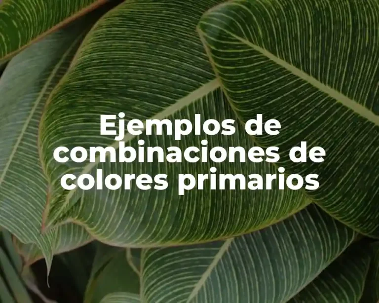 Ejemplos de combinaciones de colores primarios