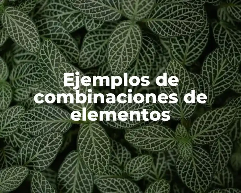 Ejemplos de combinaciones de elementos