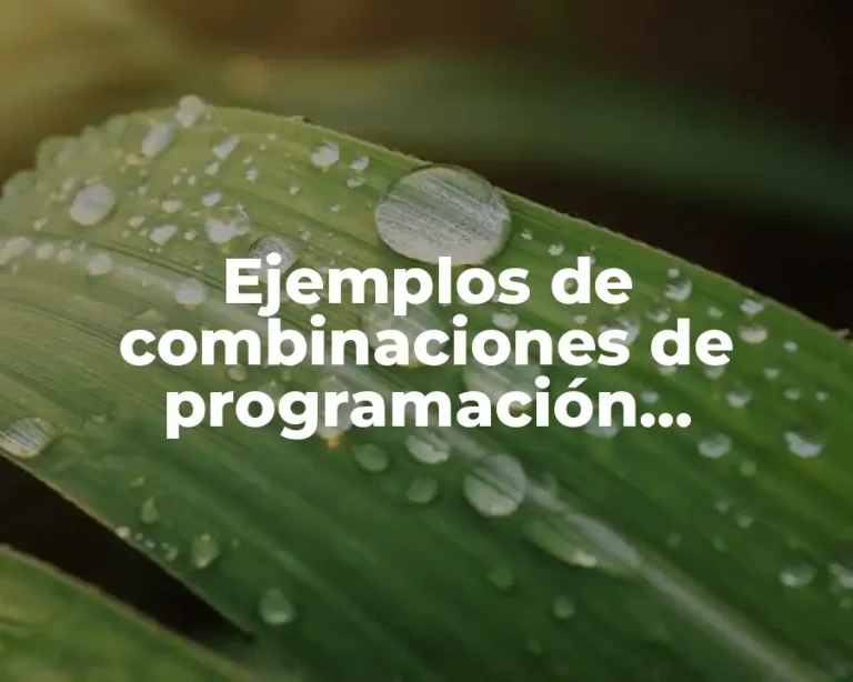 Ejemplos de combinaciones de programación neurolinguística