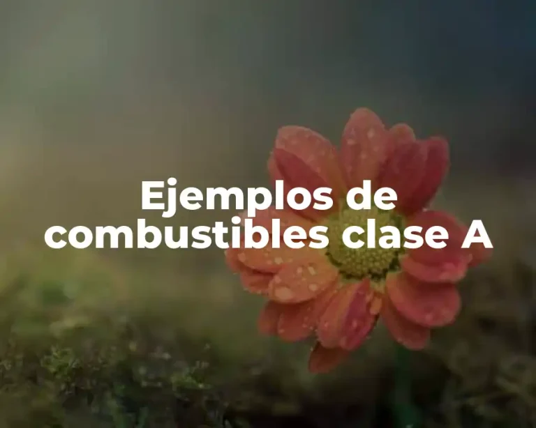 Ejemplos de combustibles clase A