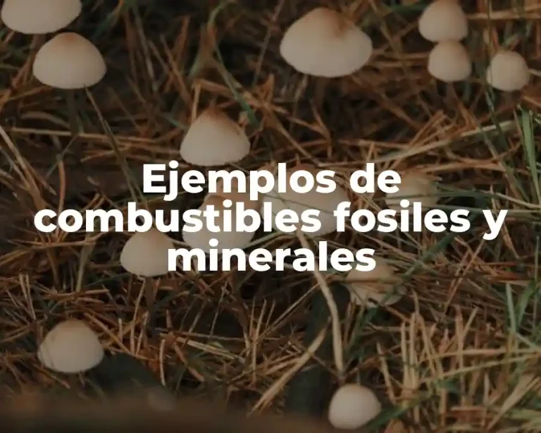 Ejemplos de combustibles fosiles y minerales