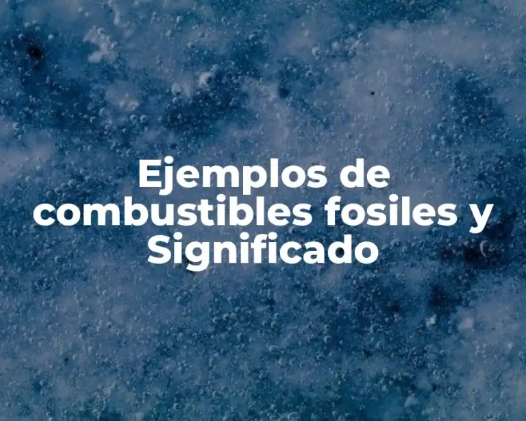 Ejemplos de combustibles fosiles y Significado