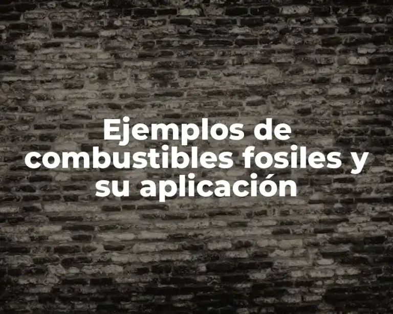 Ejemplos de combustibles fosiles y su aplicación