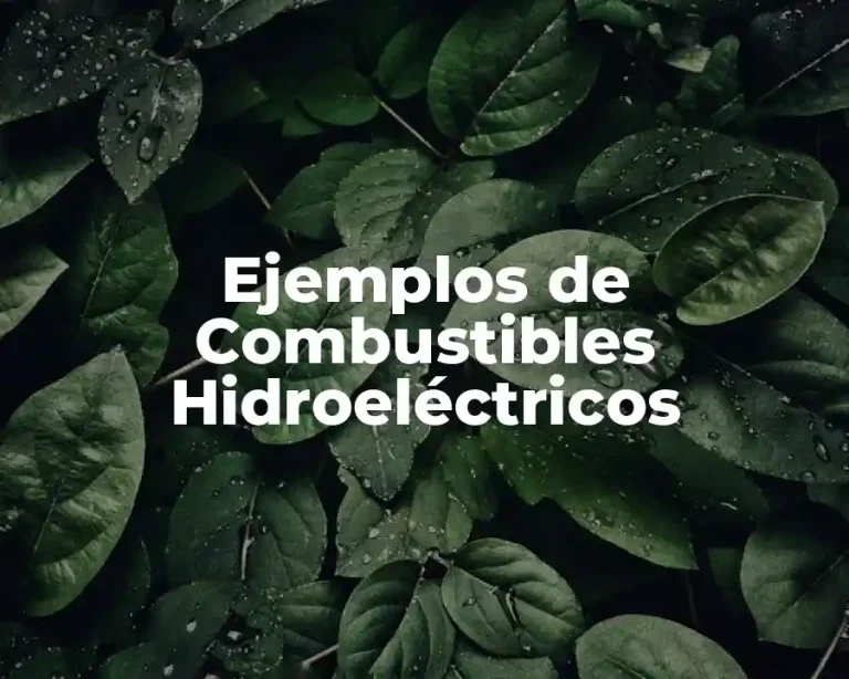 Ejemplos de Combustibles Hidroeléctricos