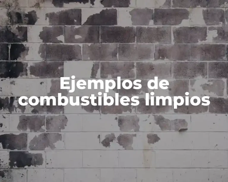 Ejemplos de combustibles limpios