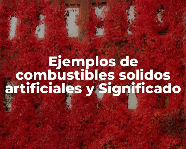 Ejemplos de combustibles solidos artificiales y Significado