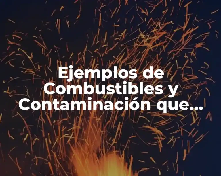 Ejemplos de Combustibles y Contaminación que Causan
