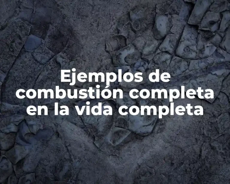 Ejemplos de combustión completa en la vida completa
