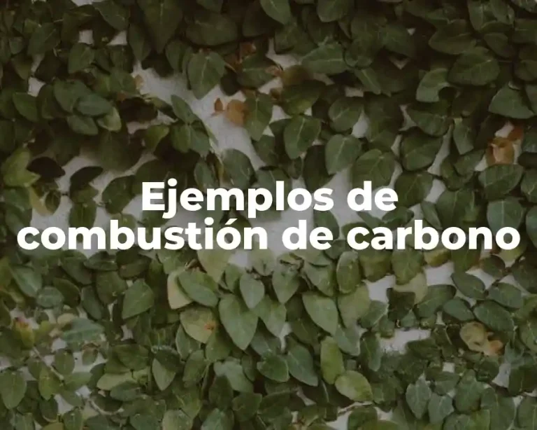 Ejemplos de combustión de carbono