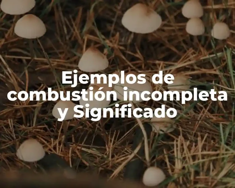Ejemplos de combustión incompleta y Significado
