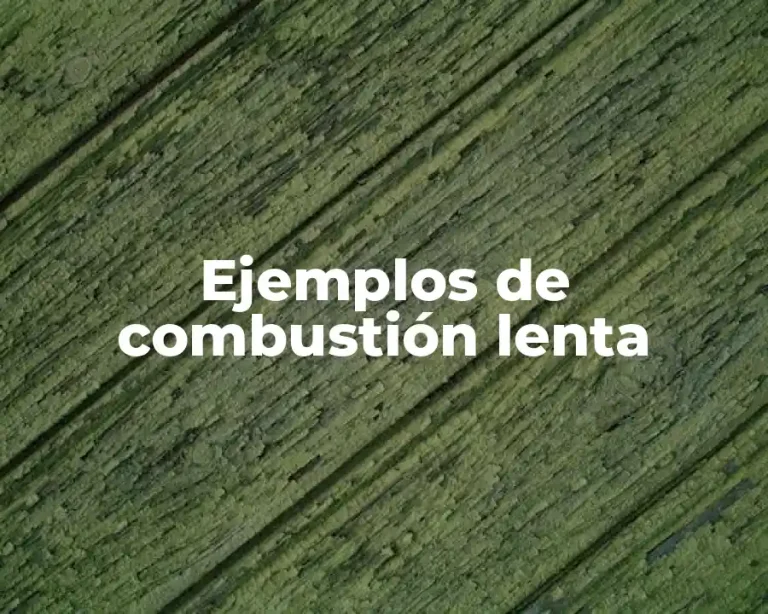 Ejemplos de combustión lenta