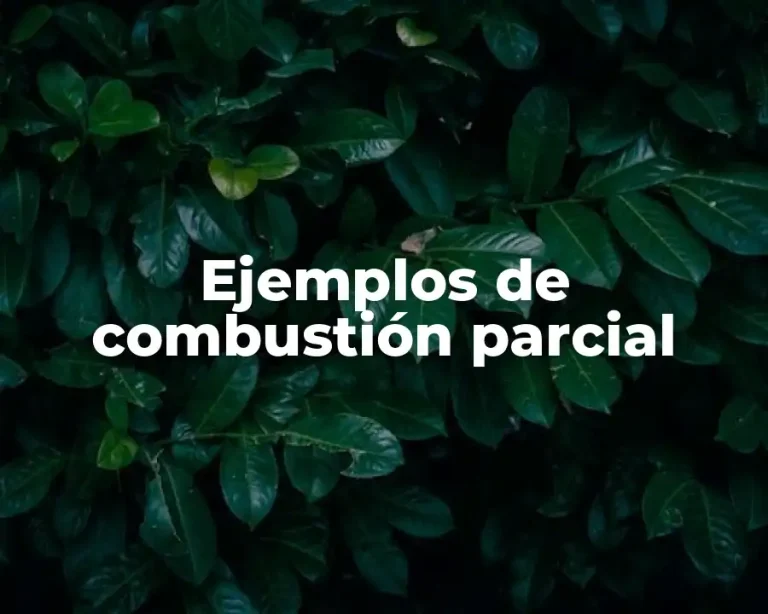 Ejemplos de combustión parcial