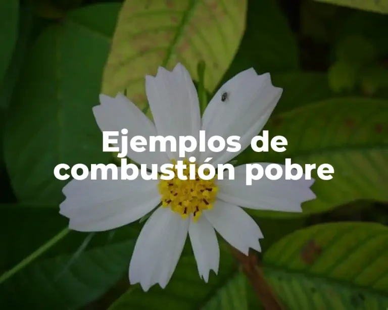 Ejemplos de combustión pobre