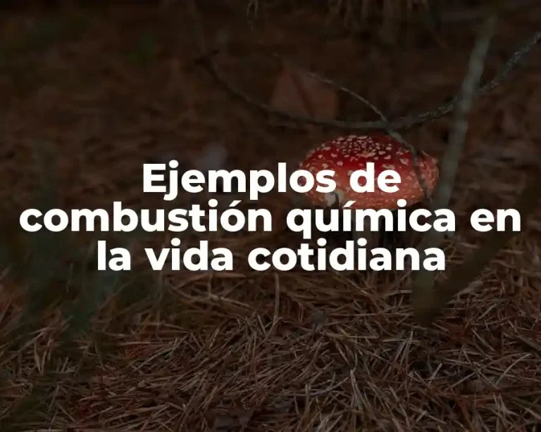 Ejemplos de combustión química en la vida cotidiana