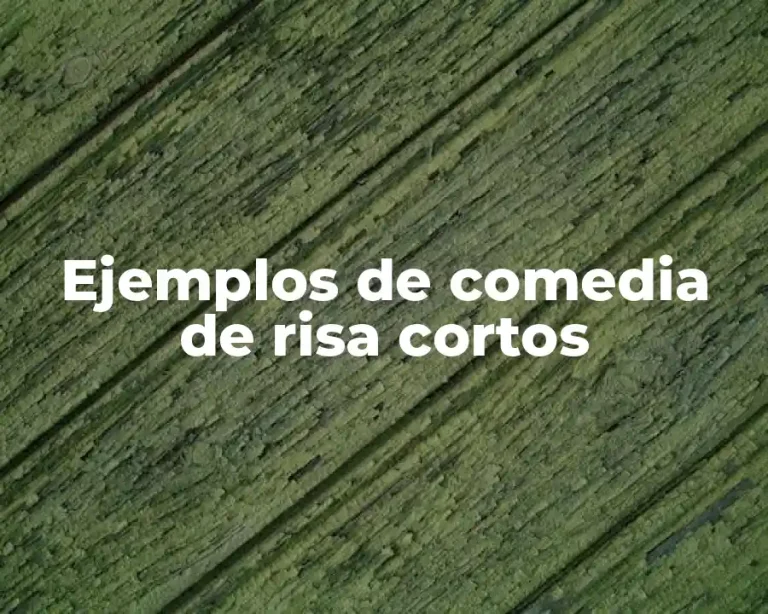 Ejemplos de comedia de risa cortos