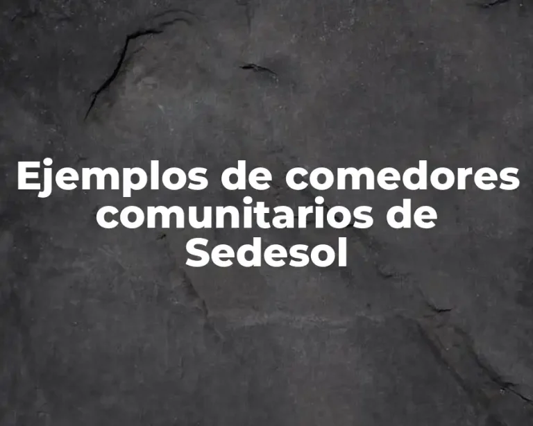 Ejemplos de comedores comunitarios de Sedesol