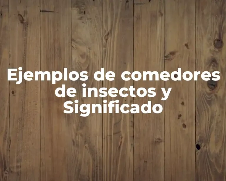 Ejemplos de comedores de insectos y Significado