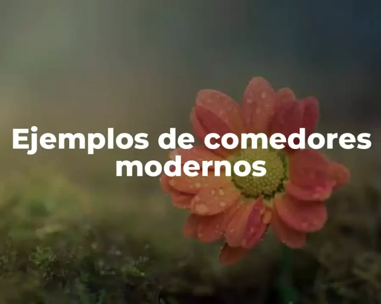 Ejemplos de comedores modernos