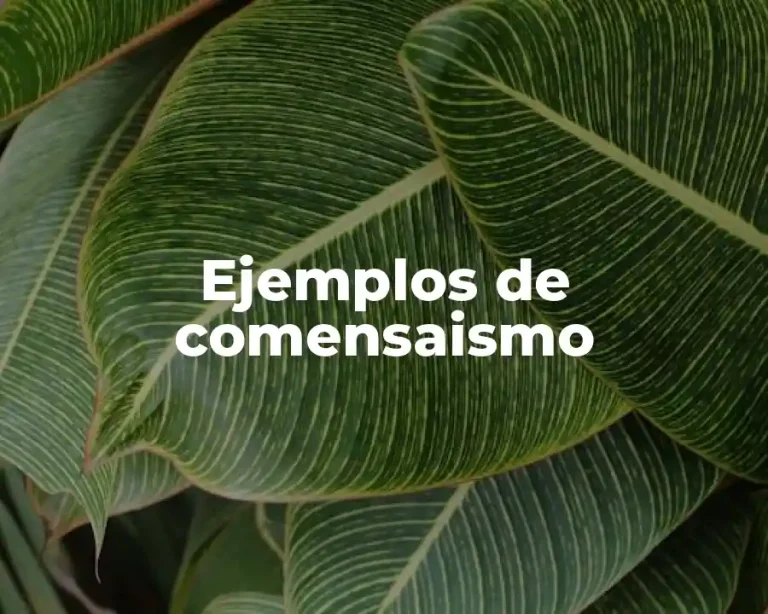 Ejemplos de comensaismo