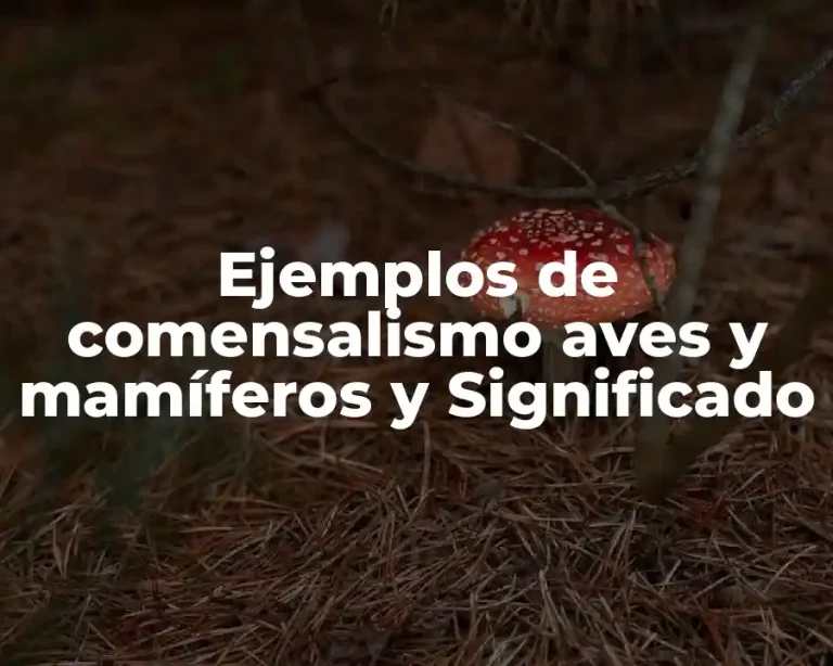Ejemplos de comensalismo aves y mamíferos y Significado