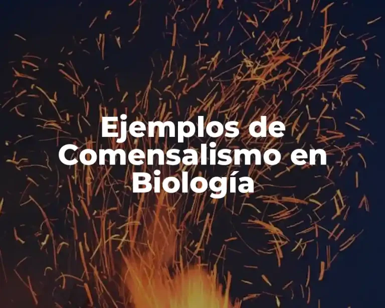 Ejemplos de Comensalismo en Biología