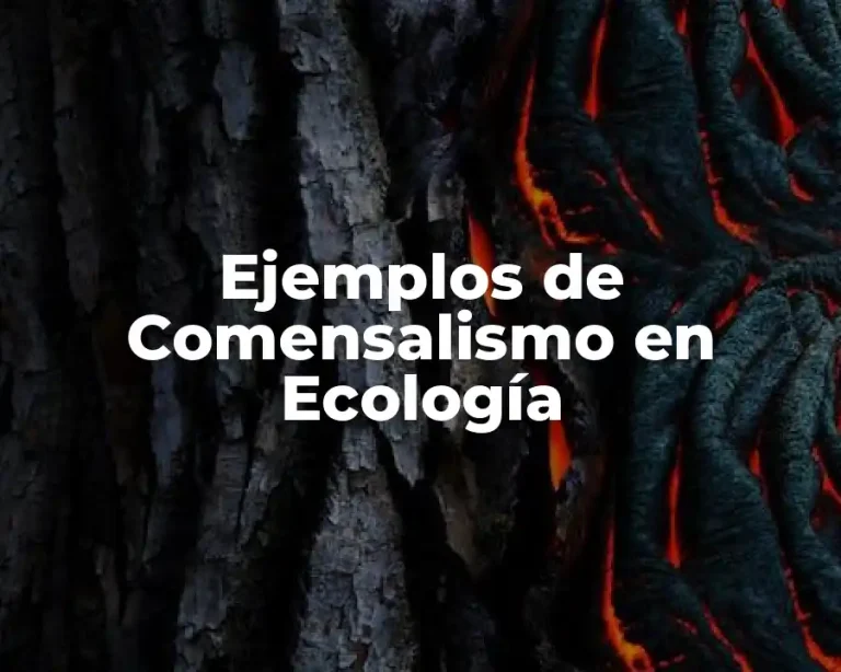 Ejemplos de Comensalismo en Ecología