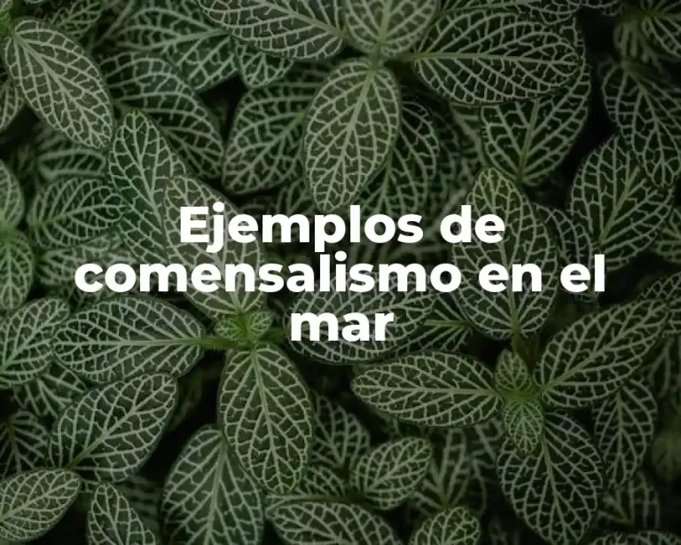 Ejemplos de comensalismo en el mar