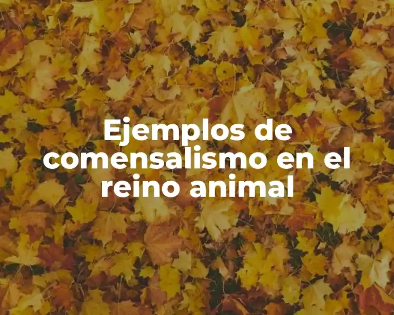 Ejemplos de comensalismo en el reino animal