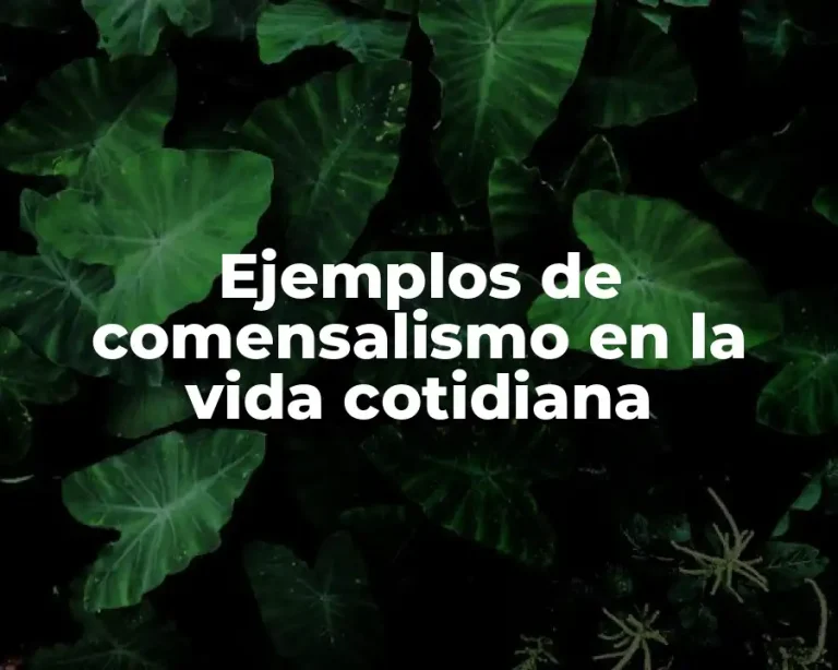 Ejemplos de comensalismo en la vida cotidiana