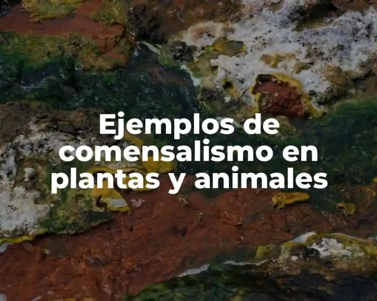 Ejemplos de comensalismo en plantas y animales