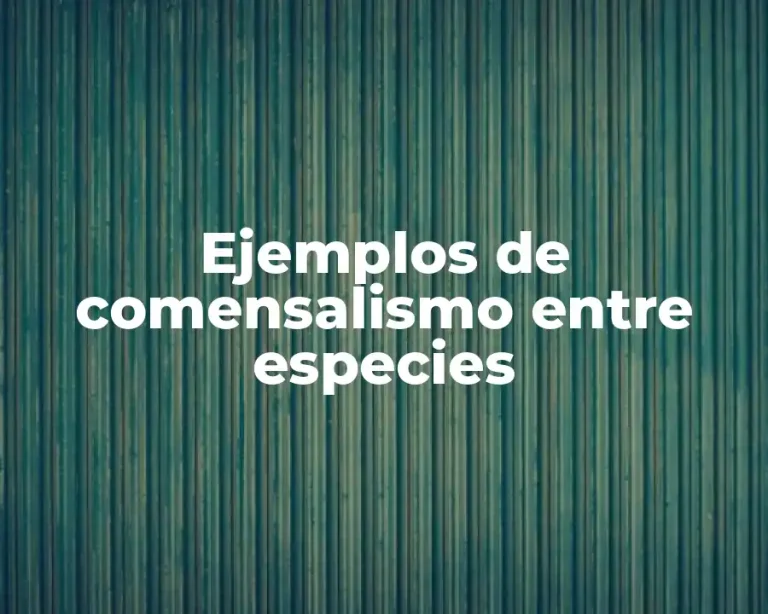Ejemplos de comensalismo entre especies