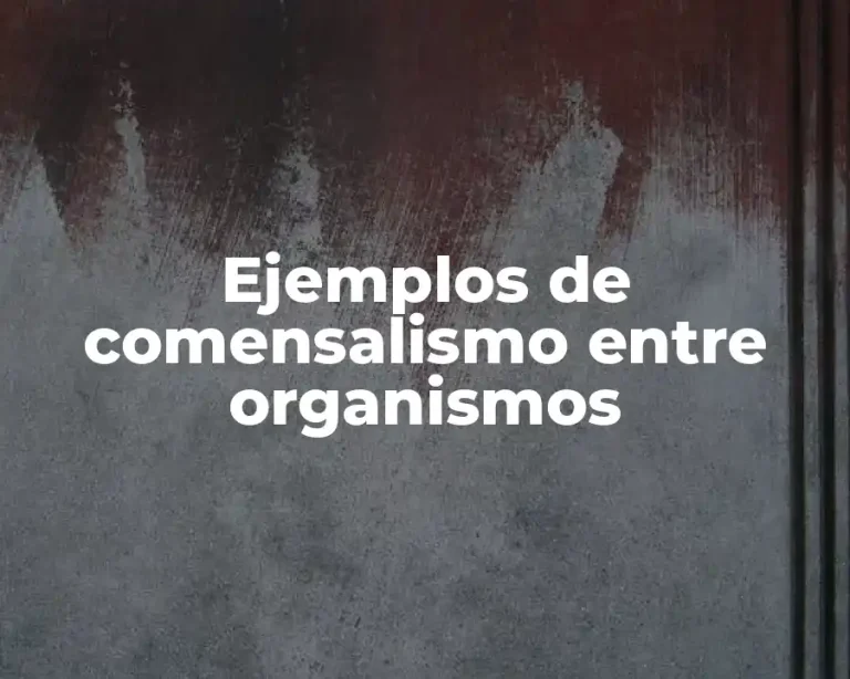 Ejemplos de comensalismo entre organismos